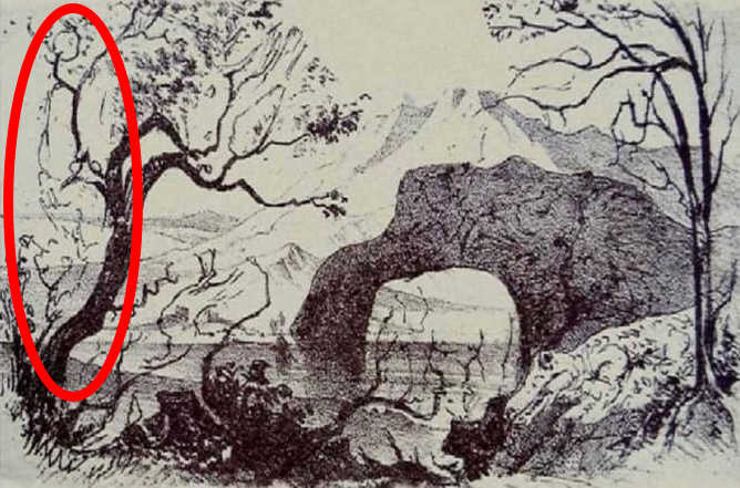 Úžasný optický klam: jen intelektuálové dokážou najít člověka za 5 sekund