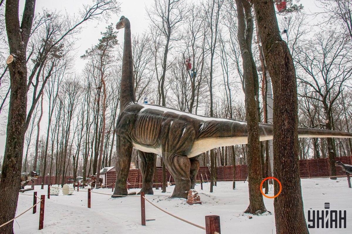 Pes se nacházel u levého dolního rohu obrázku / koláž Moje