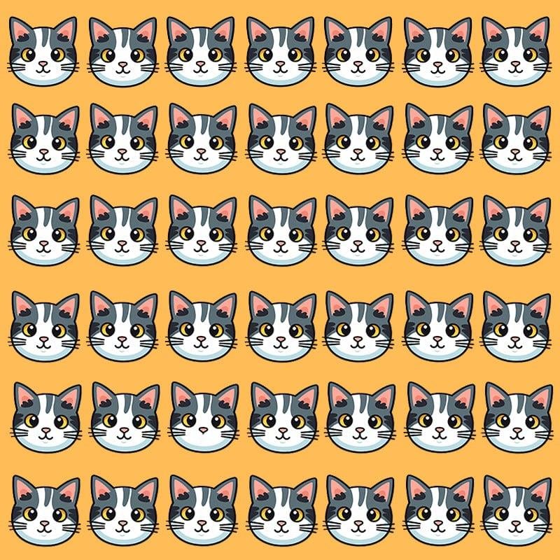 Tento optický klam je možný pouze pro lidi s grandiózním IQ / Moje image