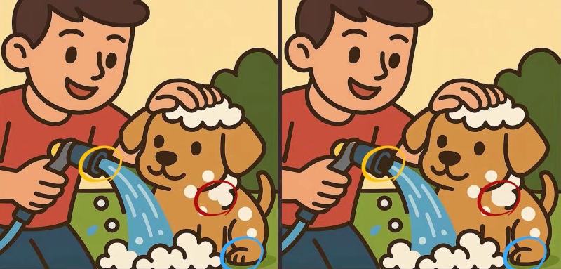 hádanka s řešením