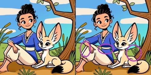 Hádanka - řešení