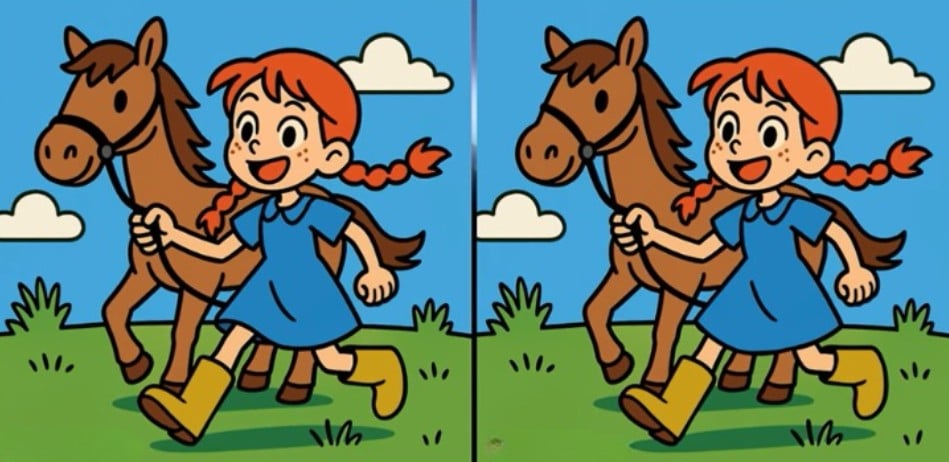 puzzle Hádanka - Najděte 3 rozdíly