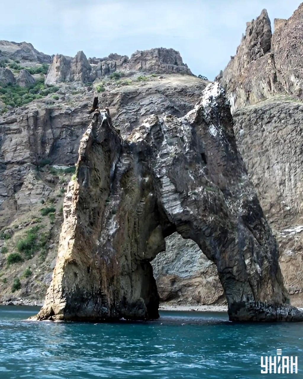 Najít orla na puzzle obrázku / koláži s fotografií Moje zabere méně než 10 sekund.