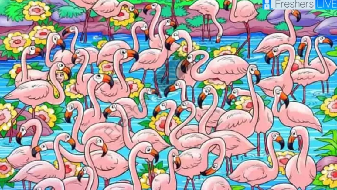 Najděte dívku mezi plameňáky za 8 sekund: tato hádanka vám zamotá hlavu.