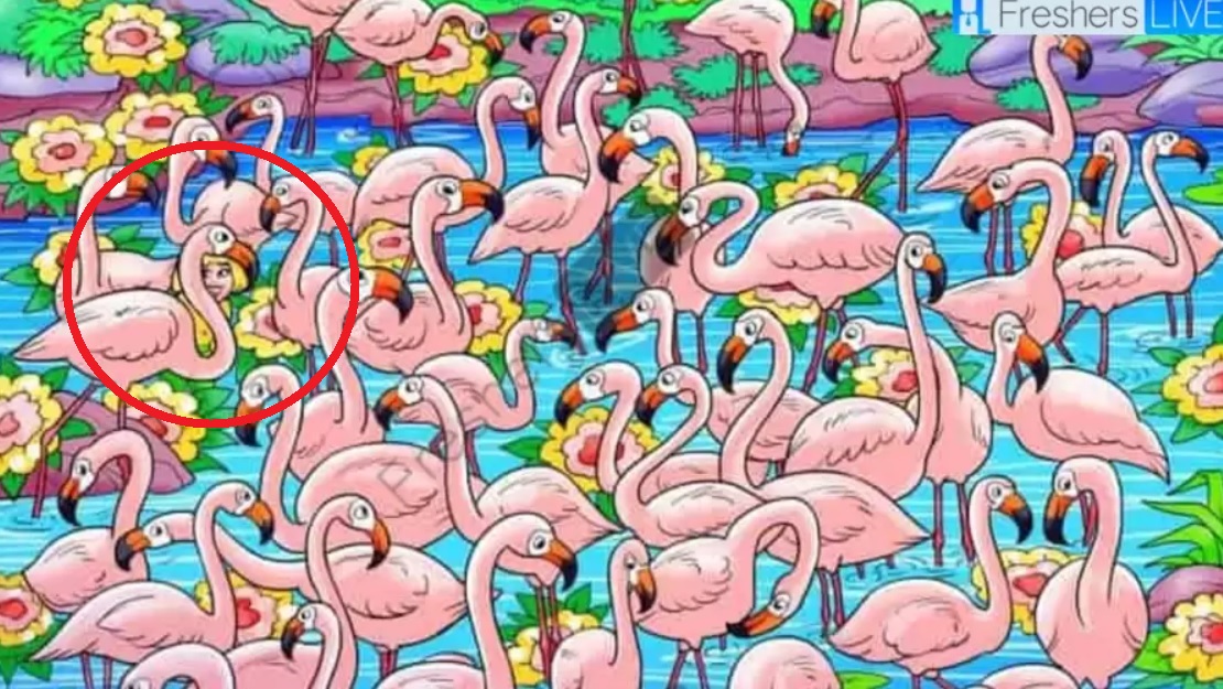 Najděte dívku mezi plameňáky za 8 sekund: z této hádanky se vám zatočí hlava.