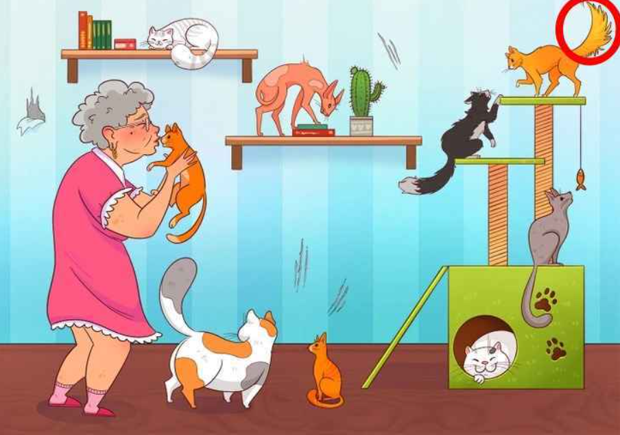 foto: Brightside s řešením