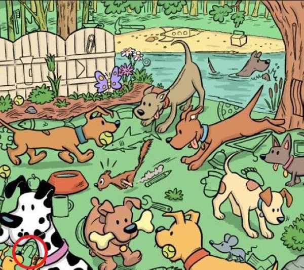 Řešení hádanky - magnet je na břiše dalmatina