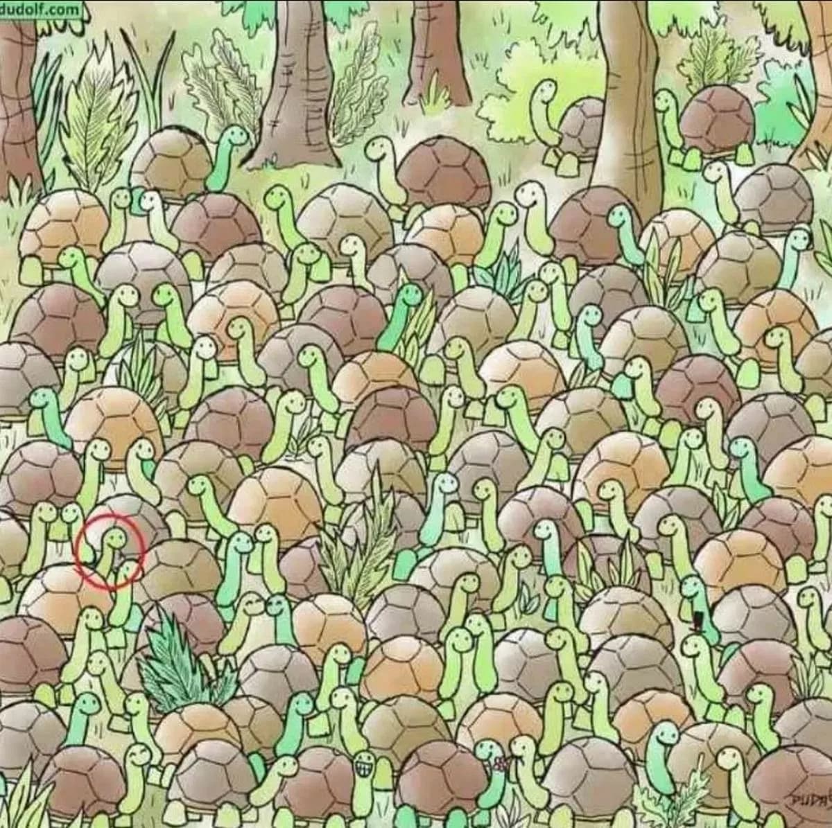 Správná odpověď na hádanku Správná odpověď na hádanku