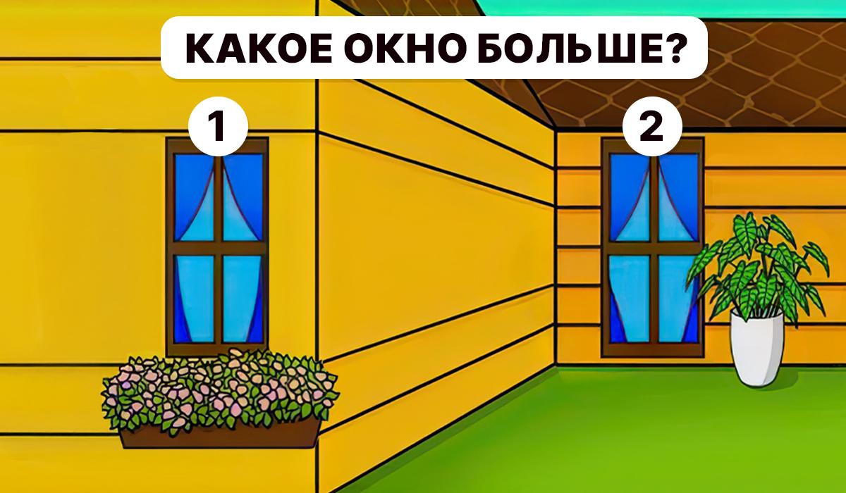 Je třeba pochopit, které okno je větší / koláž Moje