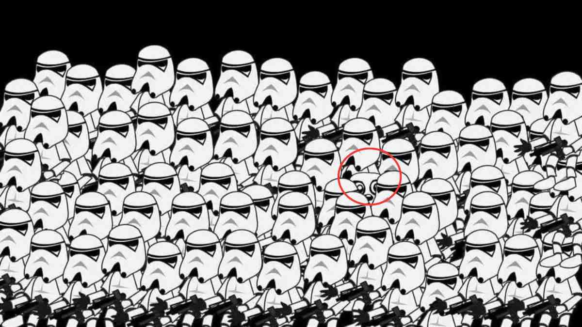 Hádanka s vyznačenou pandou