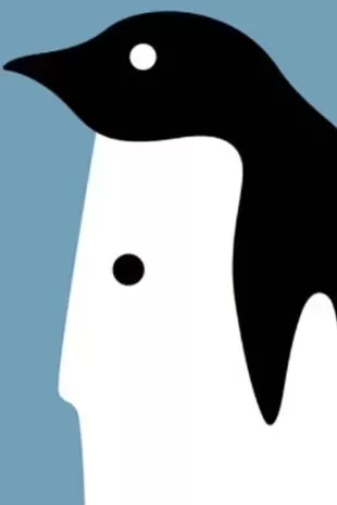 Co jste na obrázku viděli jako první? Čeho jste si na obrázku všimli jako prvního?