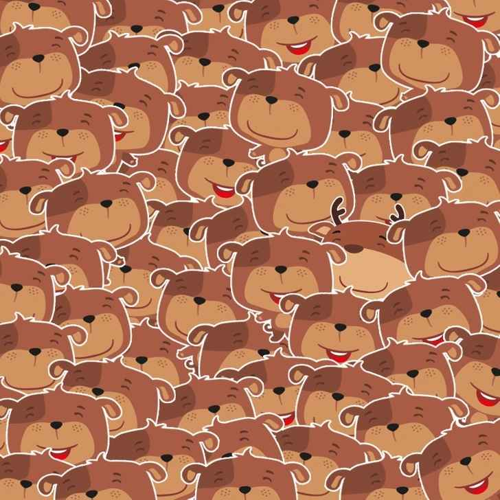 Zvládnou to jen lidé s vysokým IQ: musíte najít jelena mezi medvědy Optický klam: Najděte jelena mezi medvědy.