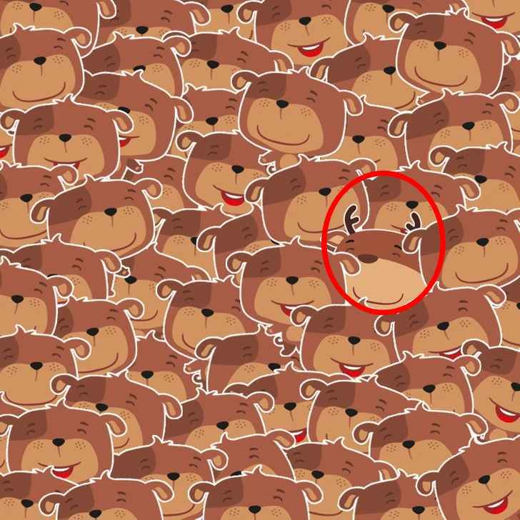 Řešení: Jelen mezi medvědy Řešení optického klamu: Jelen s parožím je označen v levé horní části obrázku mezi medvědy.