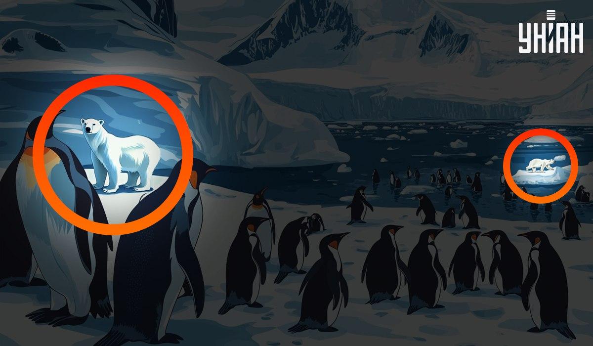 Odpověď / Moje Odpověď / Moje