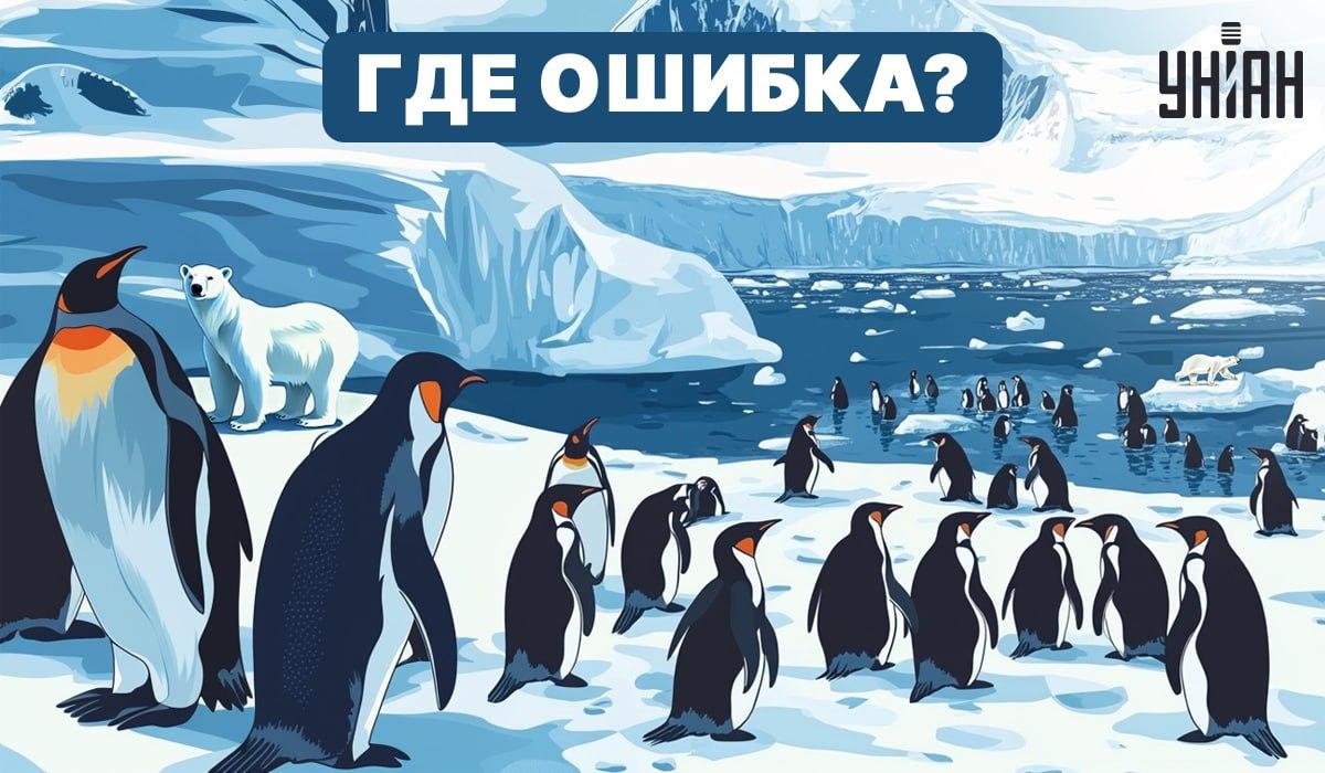 Dokážete pochopit, co je na obrázku špatně? / Moje Dokážete přijít na to, co je na obrázku špatně? / Moje