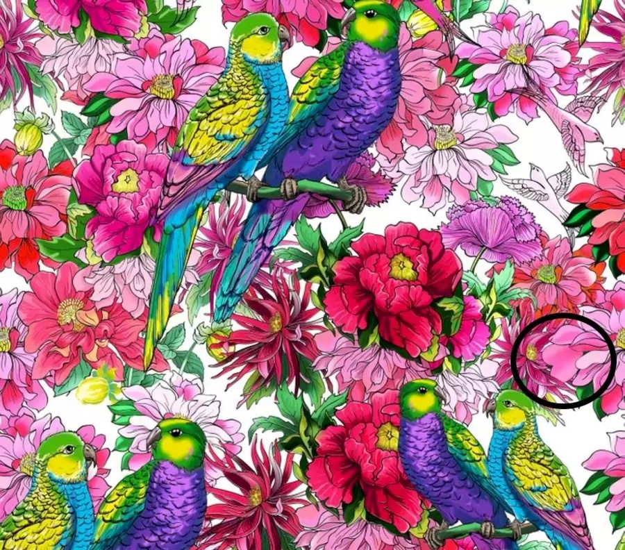 Puzzle, papoušci, květiny Puzzle, papoušci, květiny