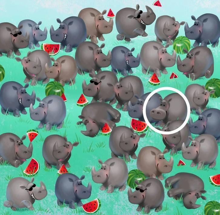 Odpověď / Bright Side