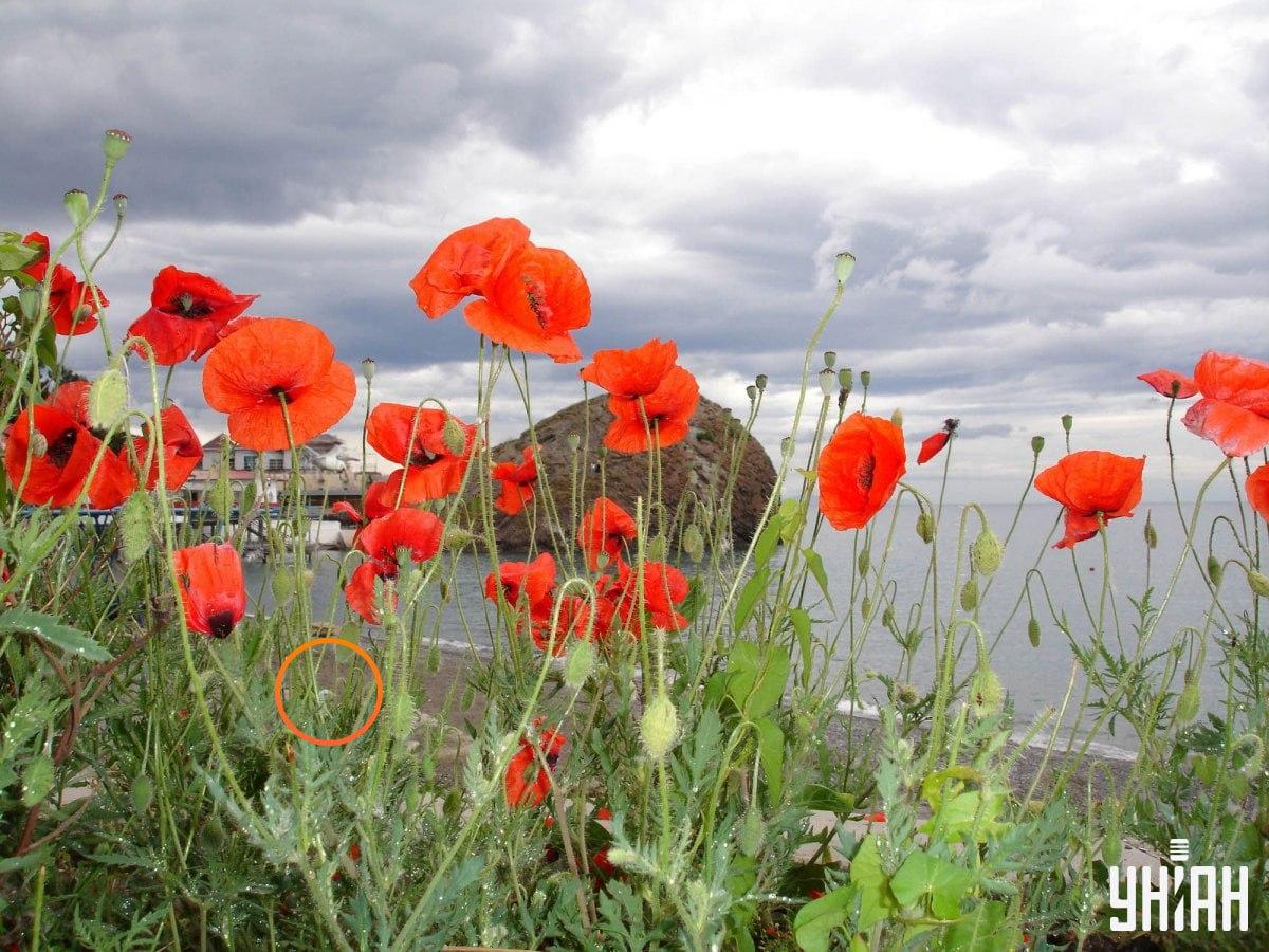 Řešení optické iluze s vyznačeným rackem