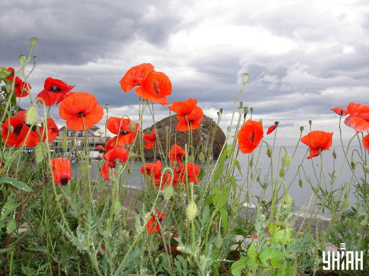 Optická iluze s ukrytým rackem