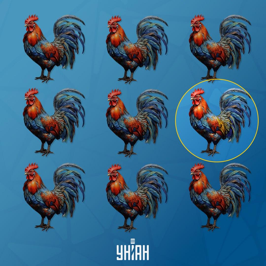 Kohout, který je jiný než ostatní, byl vlevo / koláž Moje Kohout, který je jiný než ostatní, byl vlevo / koláž Moje