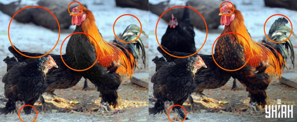 Bylo nutné věnovat pozornost drobným detailům / koláž Moje