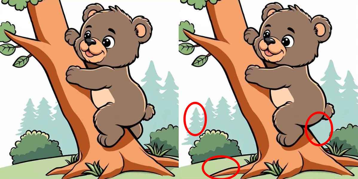 Nápověda Nápověda