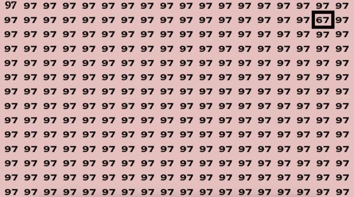 Přijměte výzvu: jen bystré oči mohou na skládačce vidět číslo 67 za 3 sekundy.