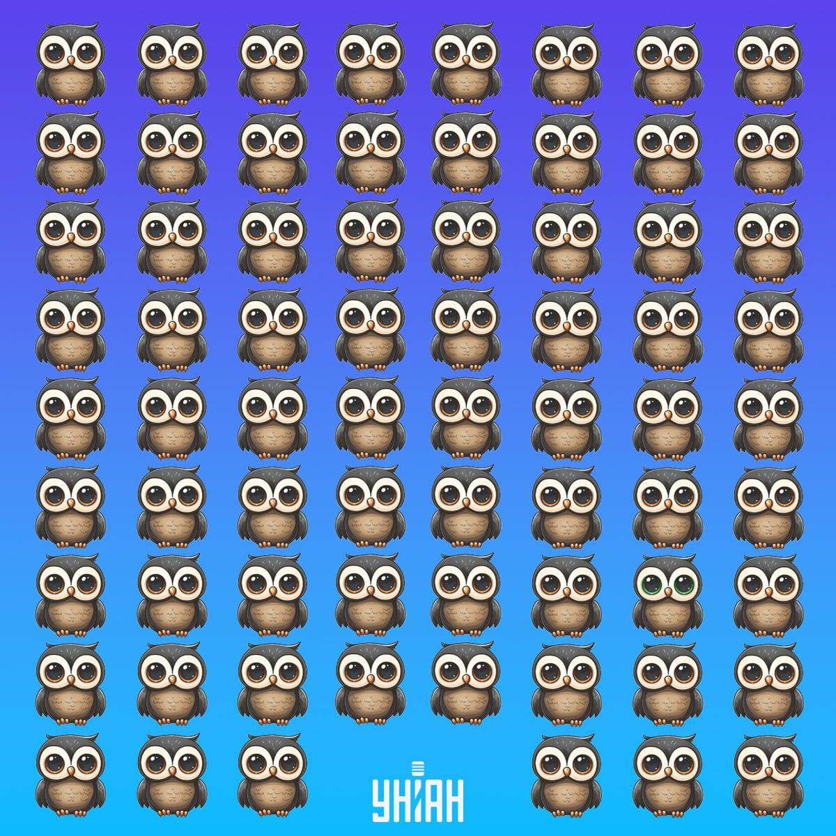 Najdi vzácného ptáka v čase / koláž Moje Najdi vzácného ptáka v čase / koláž Moje