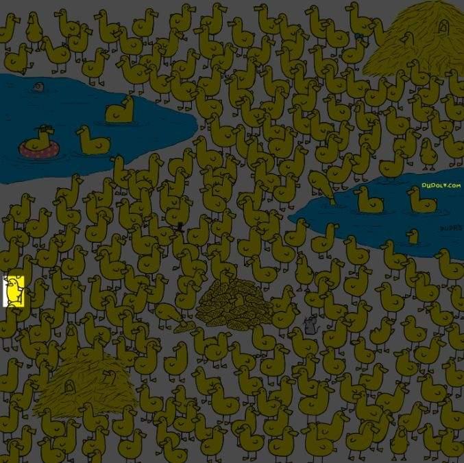 Řešení hlavolamu: Kuře je v levém dolním rohu