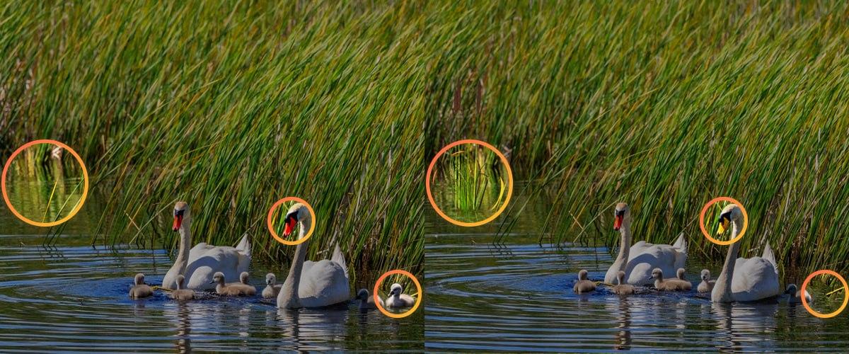 Pro zvládnutí skládačky bylo nutné věnovat pozornost drobným detailům / koláž Moje