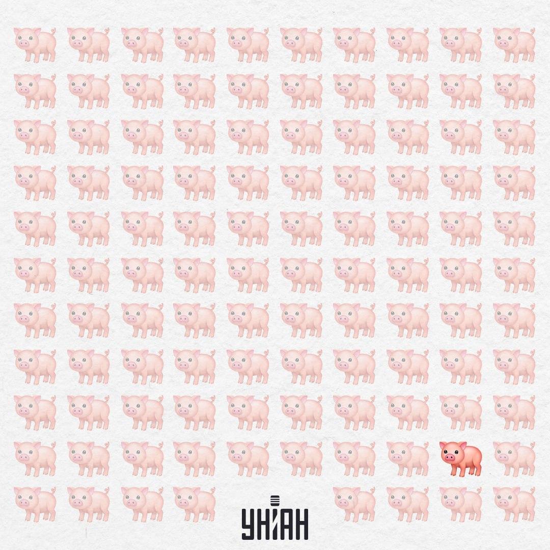 Tohle selátko je opravdu zvláštní, nemá růžový ocásek / Koláž Moje Tohle prasátko je opravdu zvláštní, nemá růžový ocásek / Koláž Moje