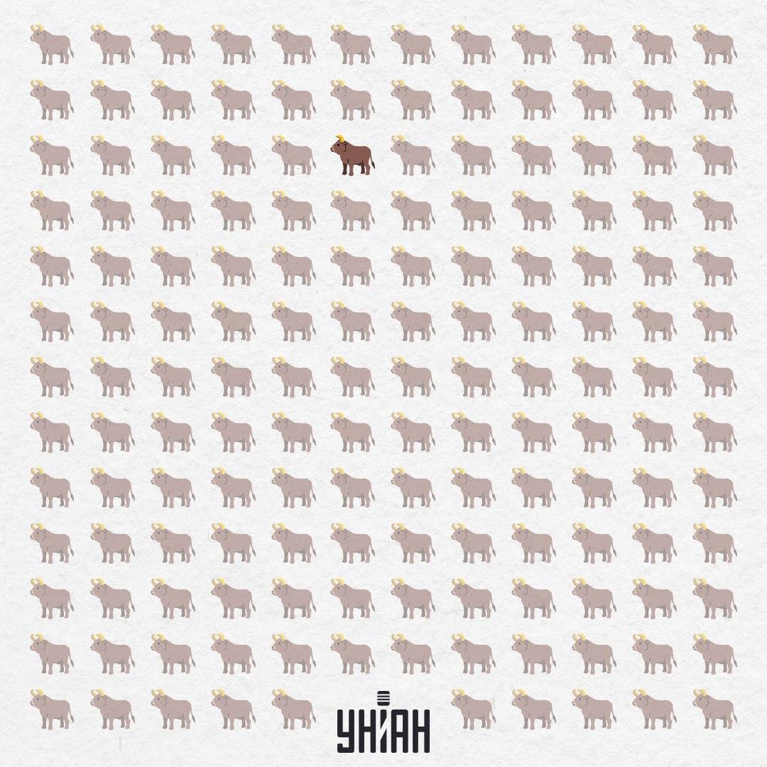 Skrýval se uprostřed, téměř shora / Moje Collage