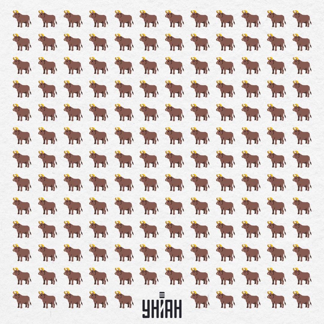 Je jich tu 154, ale jeden takový není - měli byste ho vidět za 10 sekund / Moje Collage