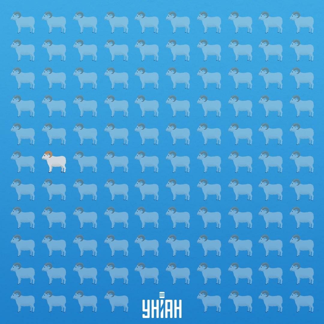 Řešení: Beran byl v sedmé řadě na levé straně