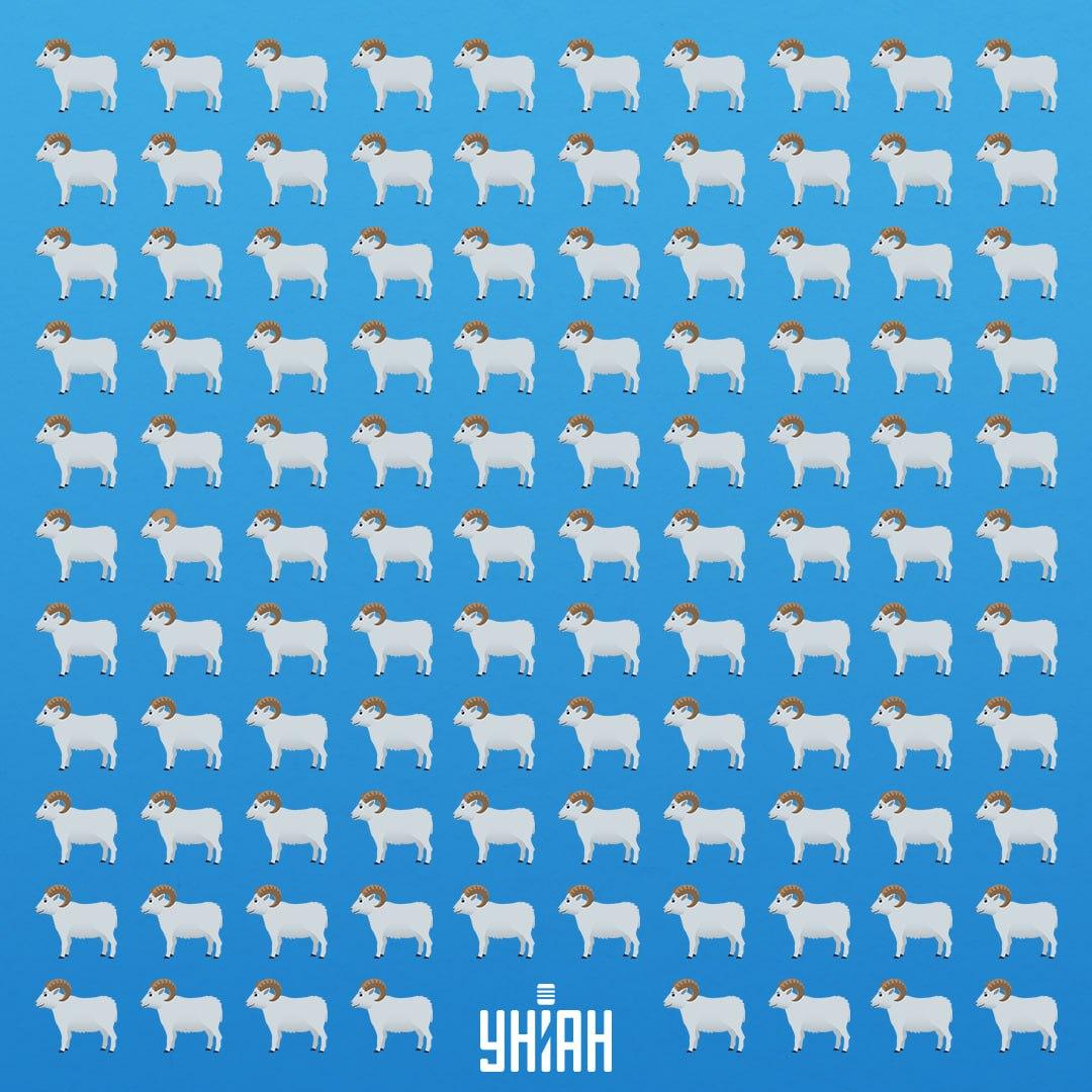 Mini hádanka: Najděte kočku s jiným ocasem