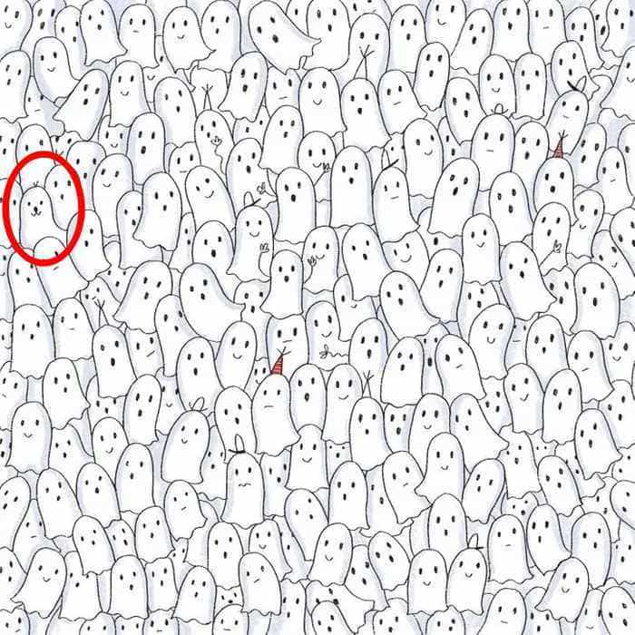 Optická iluze pro nejchytřejší: pečeť najdou jen lidé s vysokým IQ Optický klam pro nejchytřejší: pečeť najdou jen lidé s vysokým IQ