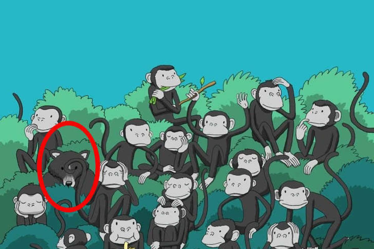 Pokuste se vyřešit hádanku / Bright Side drawing během několika sekund Zkuste vyřešit hádanku během několika sekund / Bright Side drawing