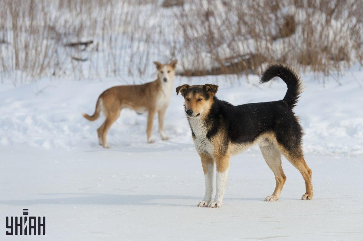 Pokuste se během 8 sekund pochopit, co je špatně na fotohádance / koláži z fotografie Moje.