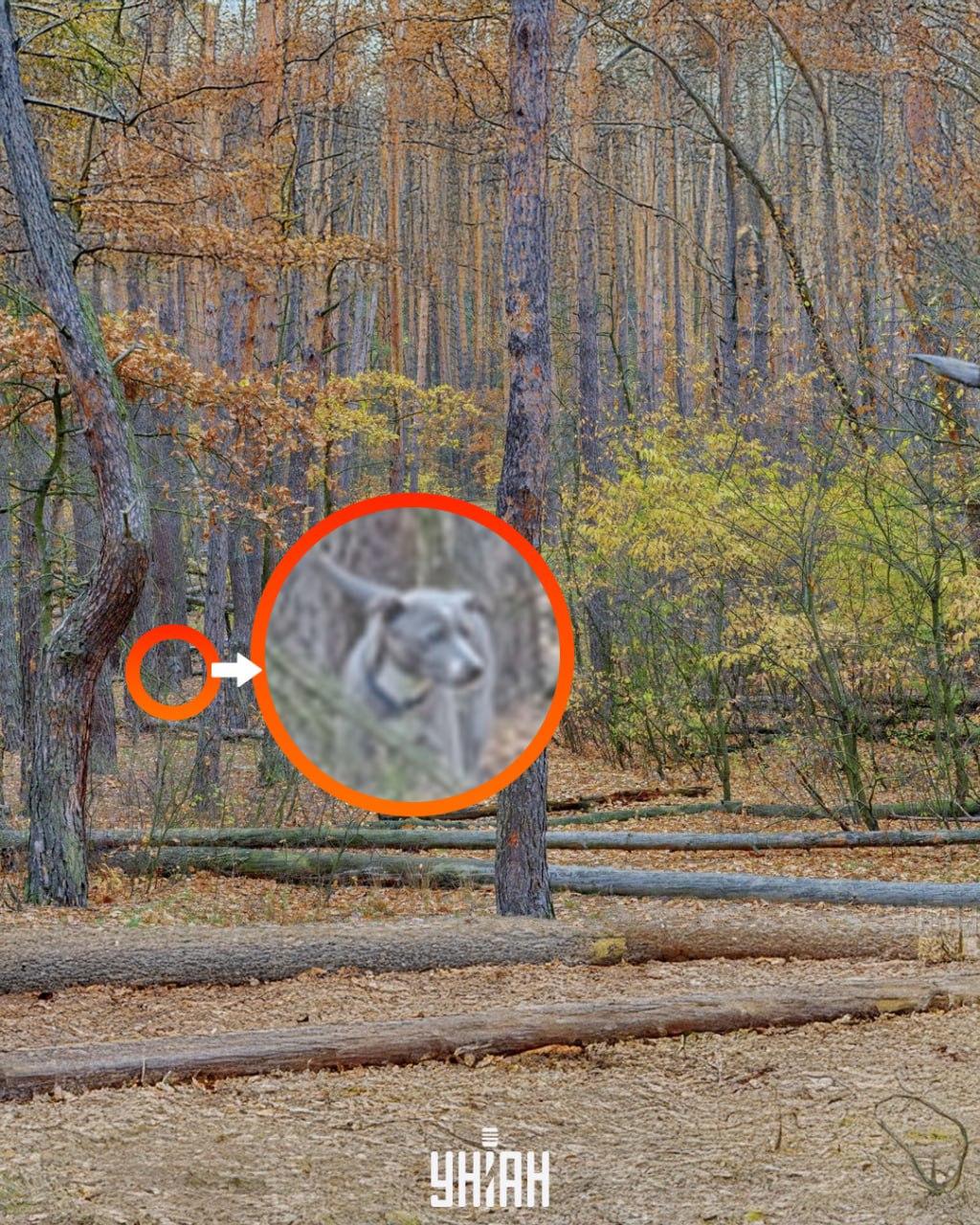 Foto Moje, Falin Volodymyr Foto Moje, Falin Volodymyr