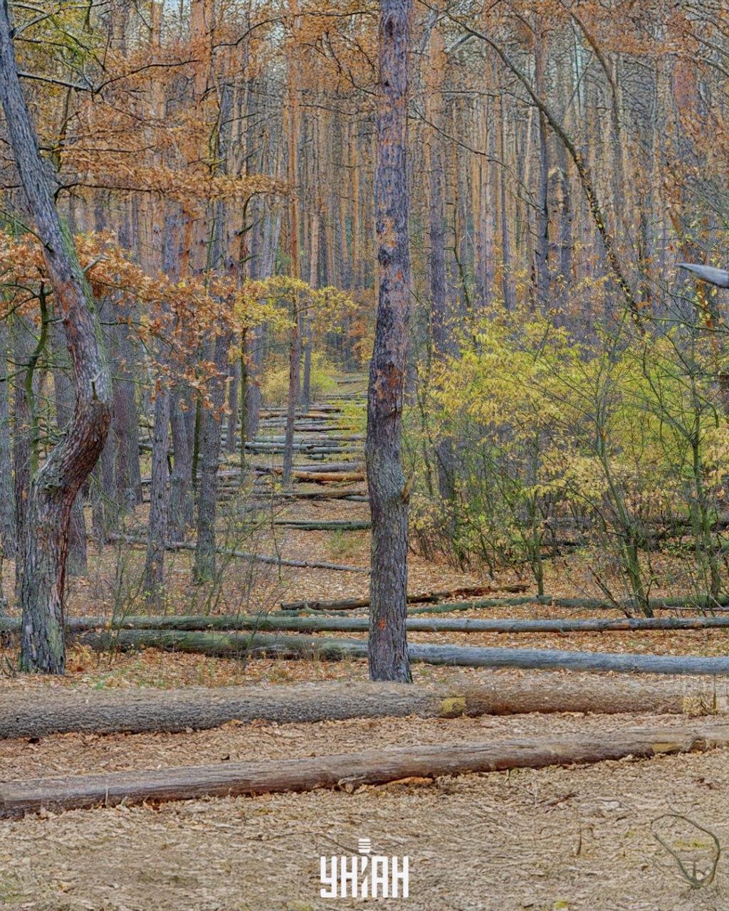 Foto Moje, Falin Volodymyr foto: Moje, Falin Volodymyr