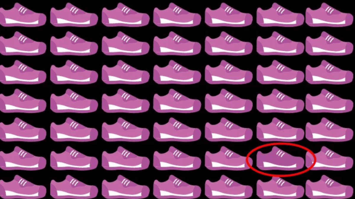 Na obrázku musíte najít unikátní boty / foto fresherslive.com