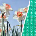 98 % lidí nedokáže najít slovo "jaro" za 10 sekund: