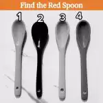 Červenou lžíci na fotografii najde za 6 vteřin jen génius: