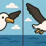 IQ test: najděte 3 rozdíly na obrázku letícího ptáka za