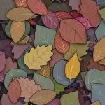 IQ test pro lidi s poruchou zraku: najděte žábu v listí za 6 sekund IQ test pro lidi s poruchou zraku: najděte žábu v