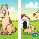 IQ test: za 45 sekund musíte najít 5 rozdílů mezi