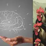 Jednoduchý IQ test: najděte kuře mezi kohouty za 7 sekund