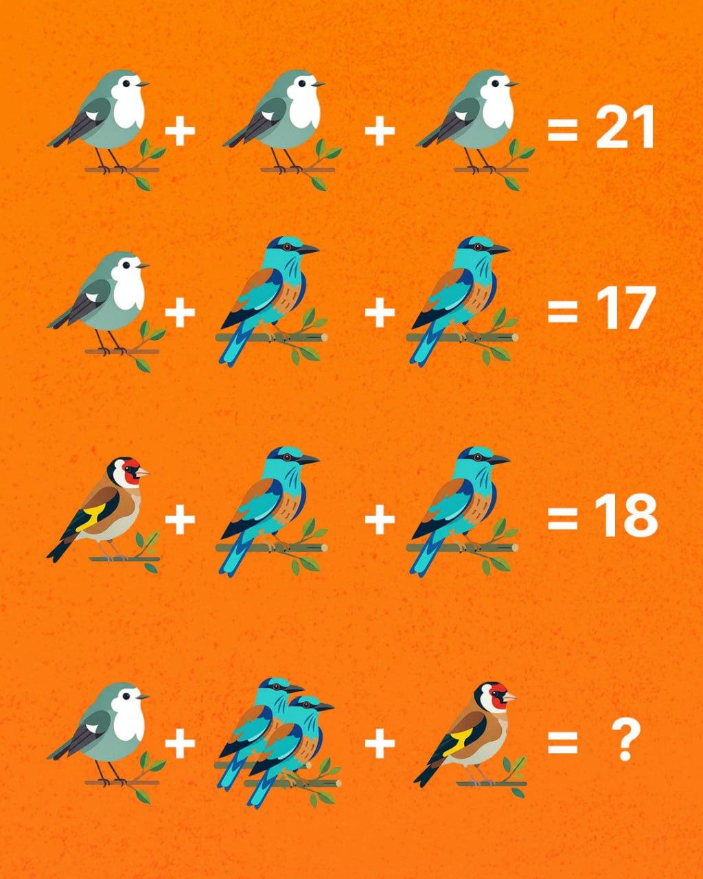 Jen génius dokáže spočítat všechny ptáky: překvapivě náročná hádanka