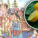 Jen málo lidí dokáže najít citron za 12 sekund: neobyčejná