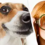 Jen opravdový IQ titán uvidí psa na sněhu za 10